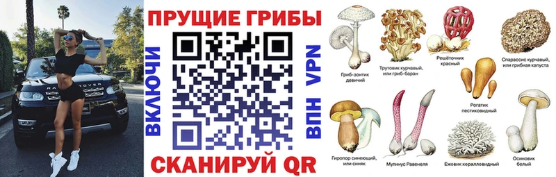 наркошоп  Нестеровская  ссылка на мегу вход  Псилоцибиновые грибы прущие грибы 